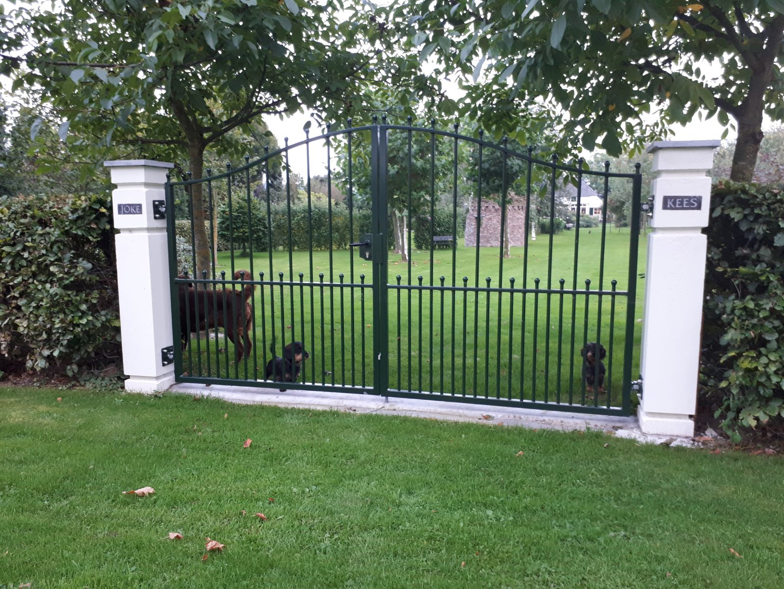 Handgemaakte dubbele sierpoort in een landelijke tuin